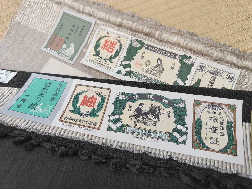 結城縮（ゆうきちぢみ）